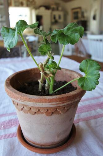 Albergue T�nsberg Vandrerhjem