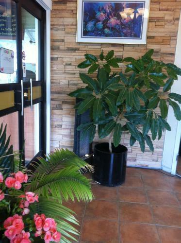Alpine Motor Inn & Restaurant