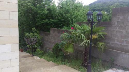 Hostal Guest House Faina