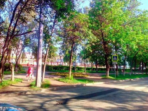 Apartment Druzhby 32