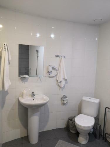 Hotel-pivovarnya Domna