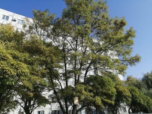 Apartamento Ol'minskogho 5