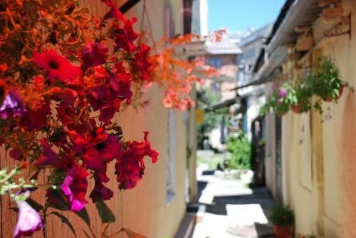 Hostel Svoi