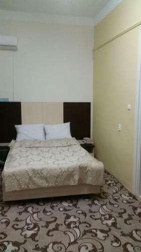 Hostel Tsentral