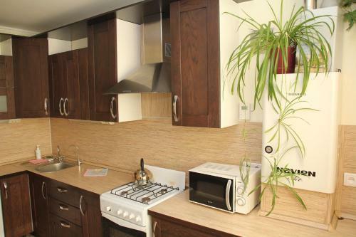 Apartments In Krutye Klyuchi