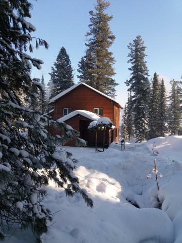 Hostal Cottage Lavina