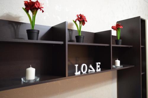 Apartment Solov'inaya Roscha 3