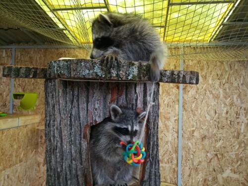 Apartamento Fairy House