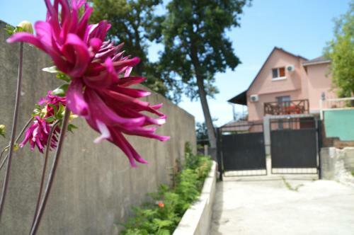 Hostal Guest House U Ludmily