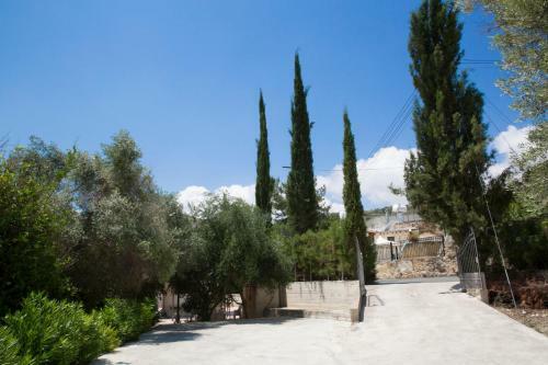Chrysanthema Villa