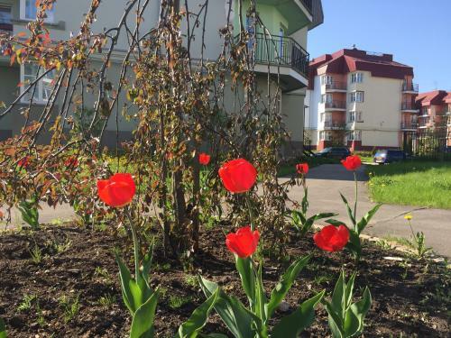 Apartamento Newstroy