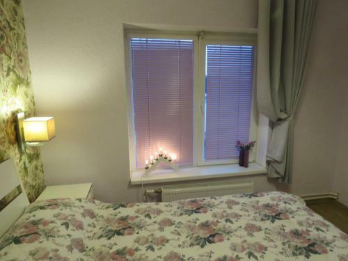 Hostal Kot I Koshka