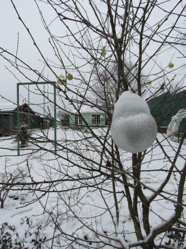 Hostal Kot I Koshka