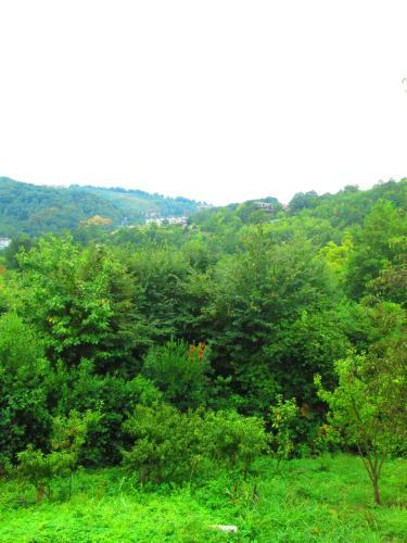 Hostal U Olgi Guest House