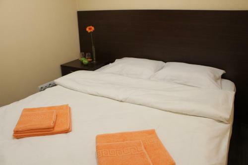 Hostel Belyy Topol