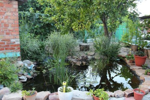 Hostal Guest House Bober