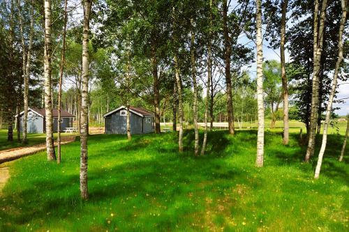 Campground Zavidovo