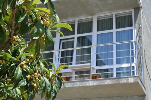 Hostal Aloiza Lux Guest House