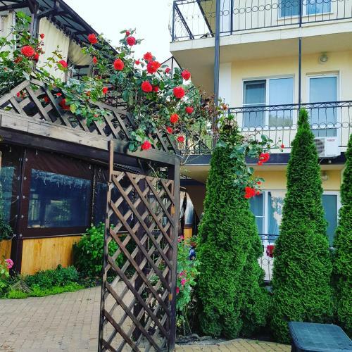 Hostal Ashamba Guest House