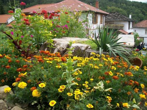 Hostal Staroto Shkolo Guest House
