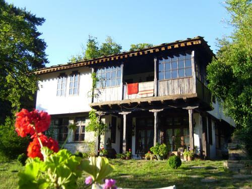 Hostal Stefanina Guesthouse