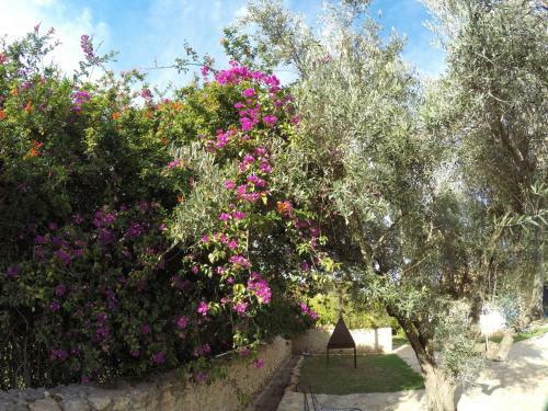 Bed & Breakfast Ryad De Vignes " Le Val D'argan "
