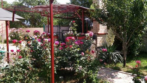Hostal Guest House Morskaya 51
