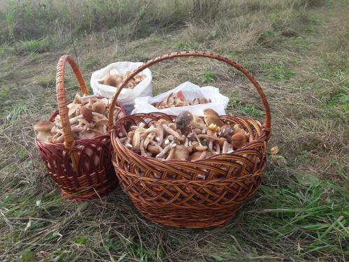 Agroturismo Eco-farm Polesye