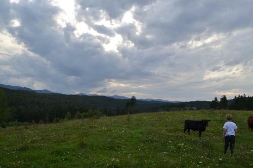 Agroturismo Farm Stay Peternelj