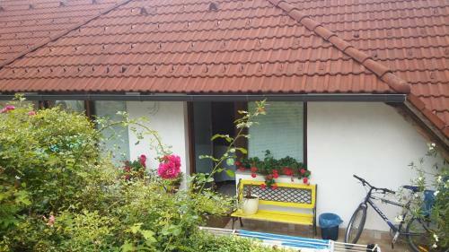 Hostal Darja Guesthouse