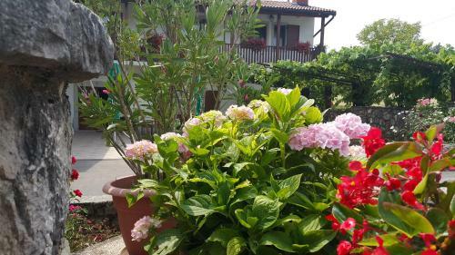 Agroturismo Homestead Vrbin