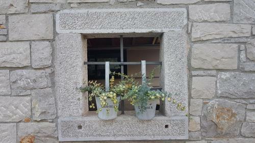 Bed & Breakfast Guesthouse Pri Mihelovih