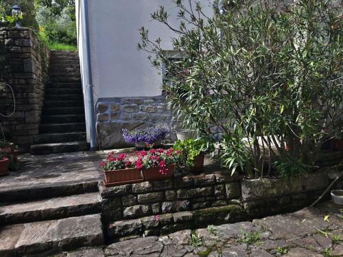 Apartma Istra Zora