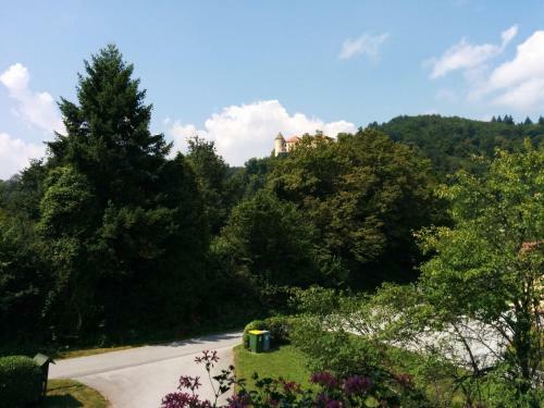 Apartments Doma?ija Mlaker