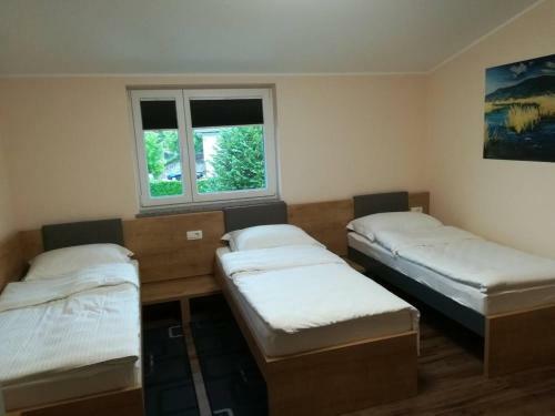 Hostal Gostilna S Preno?i??i Pav