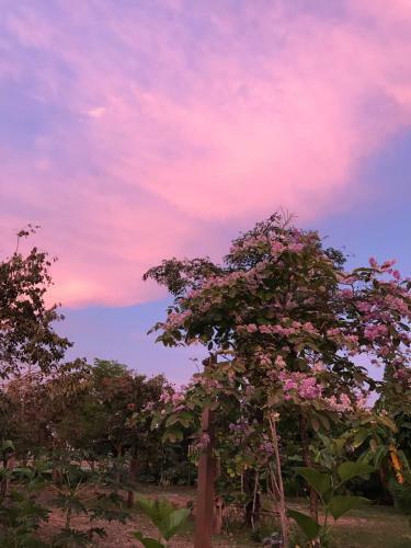 Hotel Baan Suan Rim Nam