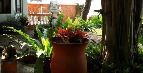 Hostal Mut Mee Garden Guest House