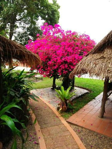 Hostal Mut Mee Garden Guest House