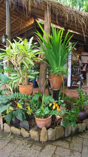 Hostal Mut Mee Garden Guest House