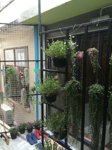 Hometown Hostel