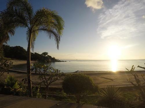 Hotel Dolphin Bay Beach Resort