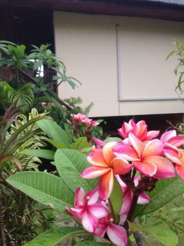 Hotel Tropicana Resort