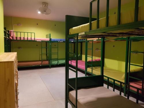Treechart Hostel