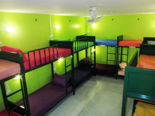 Treechart Hostel