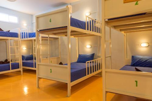 Treechart Hostel