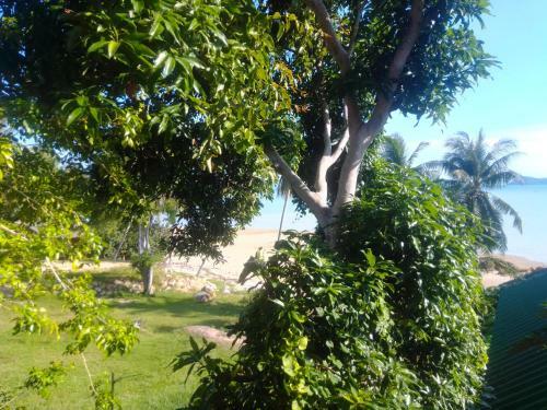 Hotel Seaview'n'beach Resort