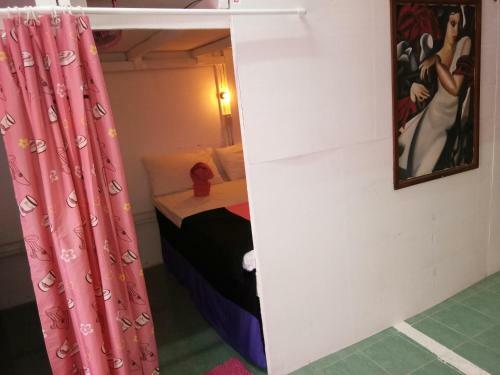 Wild & Wandering Backpacker Hostel & Bar