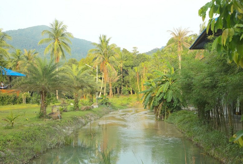 Hotel Wonderland Healing Center