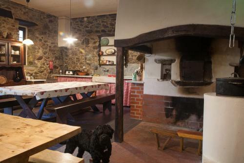 Hostal Vila Dos Castanheiros