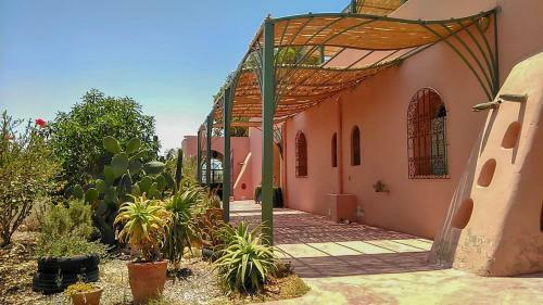 Riad Douar Des Oliviers